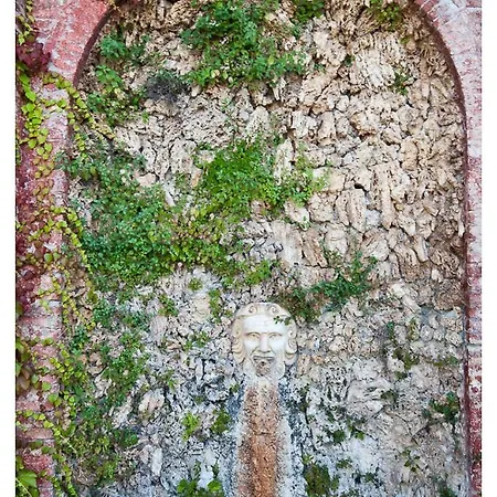 Sant'andrea 빌라 *